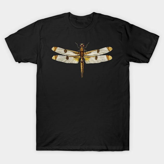 Libellula Hersilia, Painted skimmer Dragonfly T-Shirt by gdimido